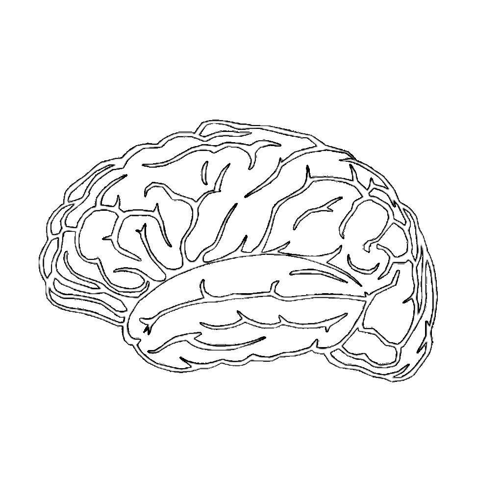 ClearMindConnect Brain Logo